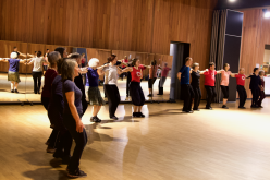 Cursus Roemeense Rapsodie door Daniel Sandu 